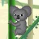 Koala và bọ cánh cứng