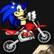 Sonic Vượt Địa Hình 1