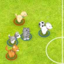 Bóng đá thú cưng