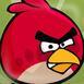 Angry Bird Truy TÃ¬m Trá»©ng